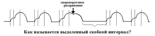 Что норме является водителем ритма сердца? - student2.ru