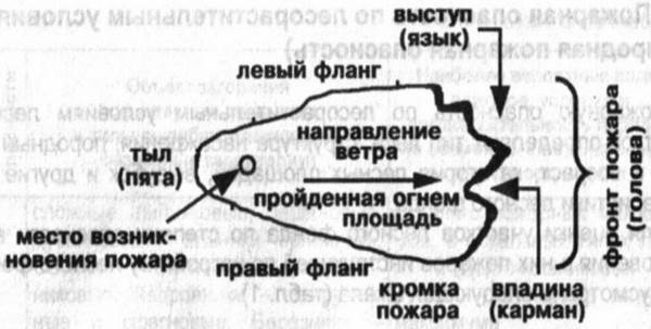 Общие сведения об лесных пожарах и их классификация - student2.ru