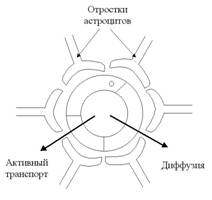 Номенклатура лекарственных средств - student2.ru