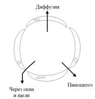 Номенклатура лекарственных средств - student2.ru