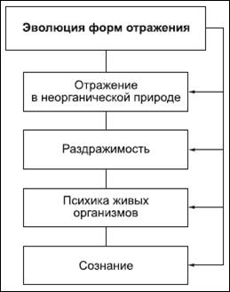 Диалектико-материалистическое понимание сознания - student2.ru