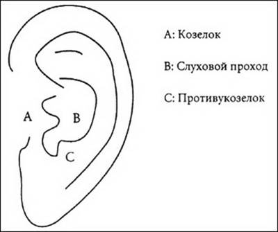 джон мамфорд - чакры и кундалини - student2.ru