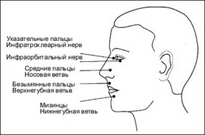 джон мамфорд - чакры и кундалини - student2.ru