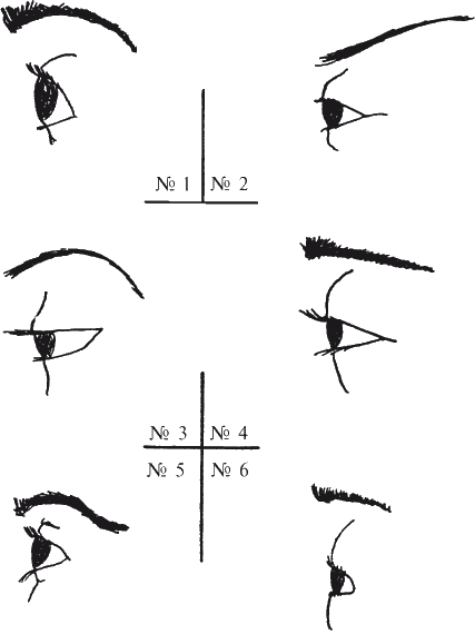 Форма глаз, радужные оболочки и веки - student2.ru