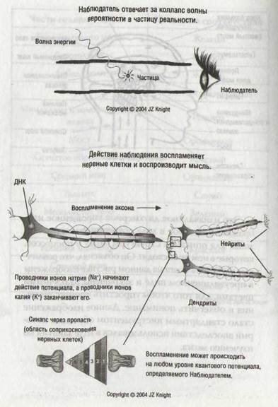 гипоталамуслобная доля мозга - student2.ru