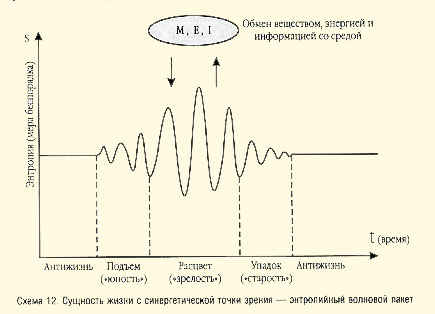 Клетки -ткани -органы -организмы -биоценозы -биосфера 2 страница - student2.ru