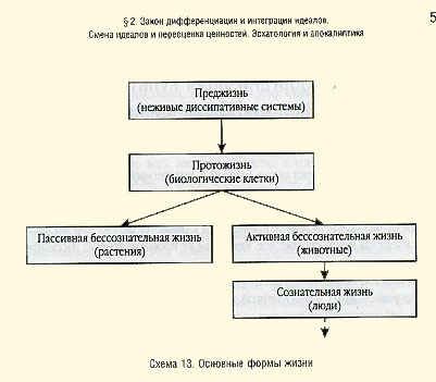 Клетки -ткани -органы -организмы -биоценозы -биосфера 2 страница - student2.ru