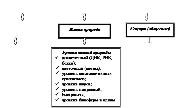 Основные направления философии XX века - student2.ru
