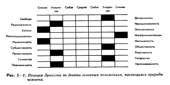 Основные положения Эриксона относительно природы человека - student2.ru