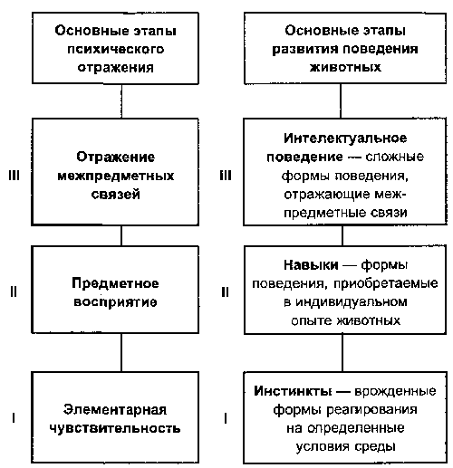 Основные этапы развития психики - student2.ru