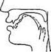 Position of the Soft Palate - student2.ru