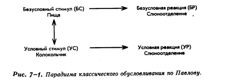 Респондентное и оперантное поведение - student2.ru