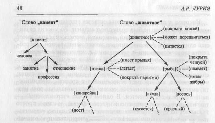 семантическая структура и функция слова - student2.ru