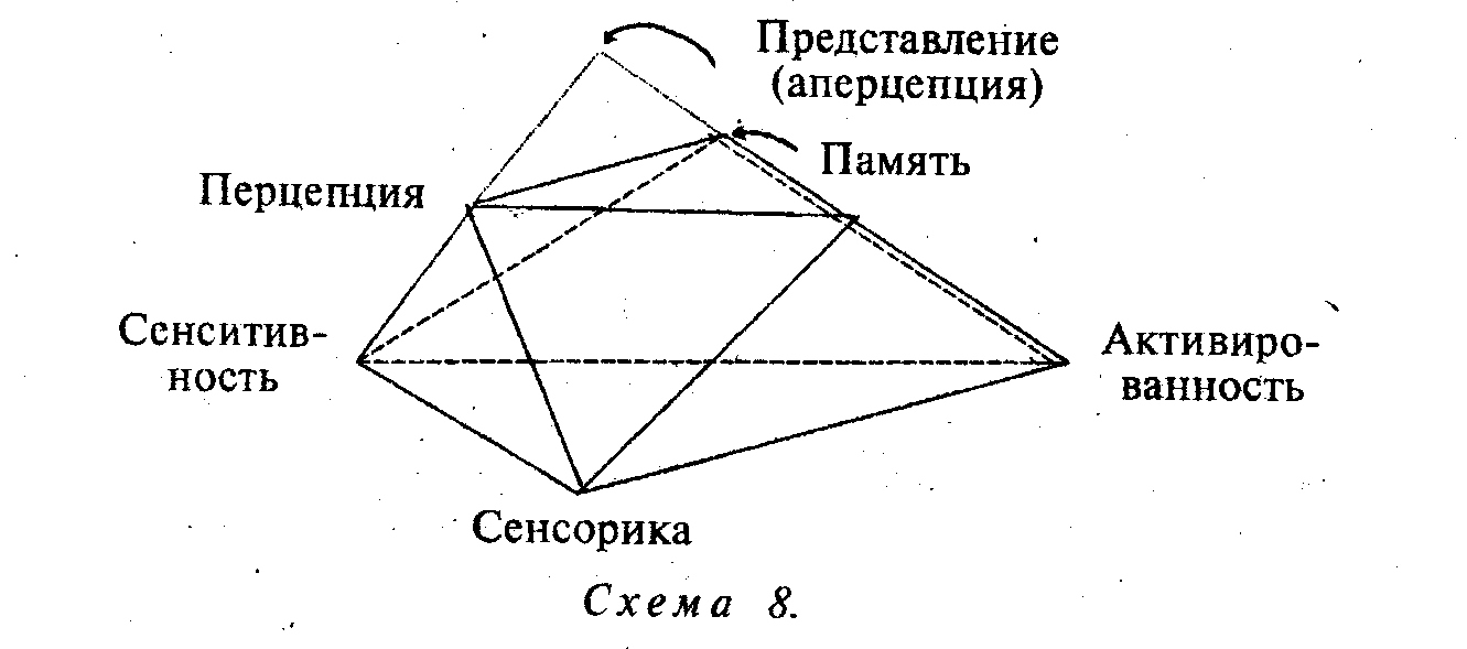 Сенсорно-перцептивная организация - student2.ru