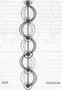 Шлоки 109, 110. Кундалини находится между идой и пингалой - student2.ru