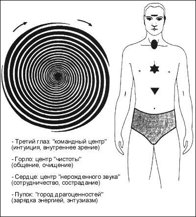 Стадия вторая: понятие о спиральной визуализации - student2.ru