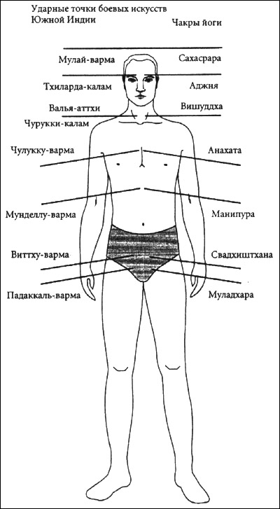 точки-вармы передней части тела (1) - student2.ru