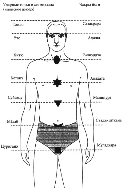 точки-вармы передней части тела (1) - student2.ru