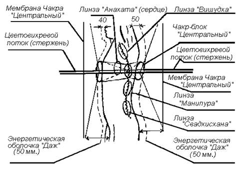 Внутреннее стороение эфирной части (сяйва или серебрянного человека) “космического организма”. - student2.ru