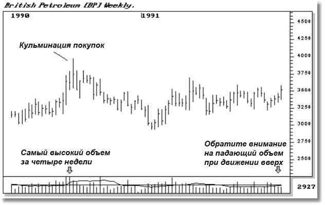 Анатомия бычьего и медвежьего - student2.ru