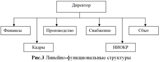 матричная организационная структура - student2.ru