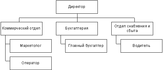 организационная структура - student2.ru