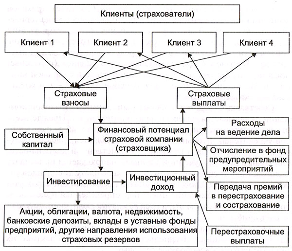 организационная структура ооо «росгосстрах» - student2.ru