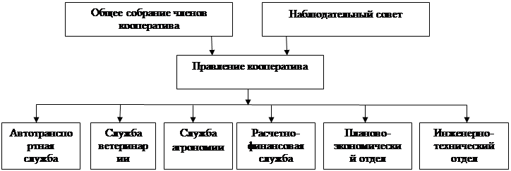 Организационно-правовая характеристика предприятия. Сельскохозяйственный производственный кооператив «Мир» образовался путем реорганизации кооператива «Мир» Илишевского района без ограничения срока его - student2.ru