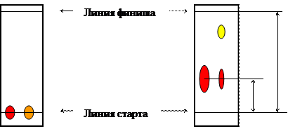 Идентификация органических соединений методом тонкослойной хроматографии - student2.ru