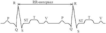 Из чего состоит проводящая система сердца? - student2.ru