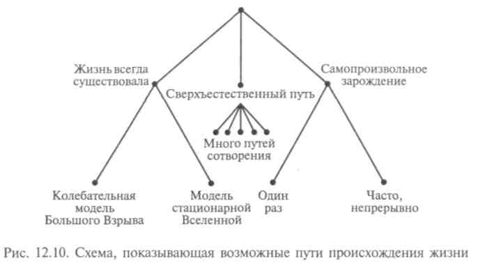 Основные гипотезы происхождения живого - student2.ru