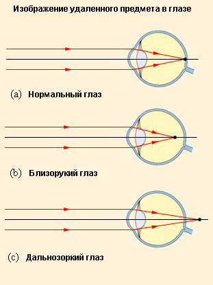 По установленному правилу электрический ток всегда направлен по движению положительных зарядов, то есть он направлен от плюса к минусу участка или цепи - student2.ru