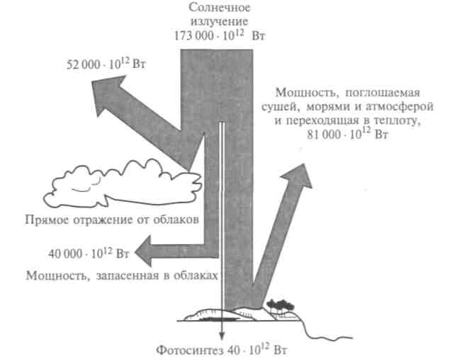 Процессы фотосинтеза и клеточного дыхания - student2.ru