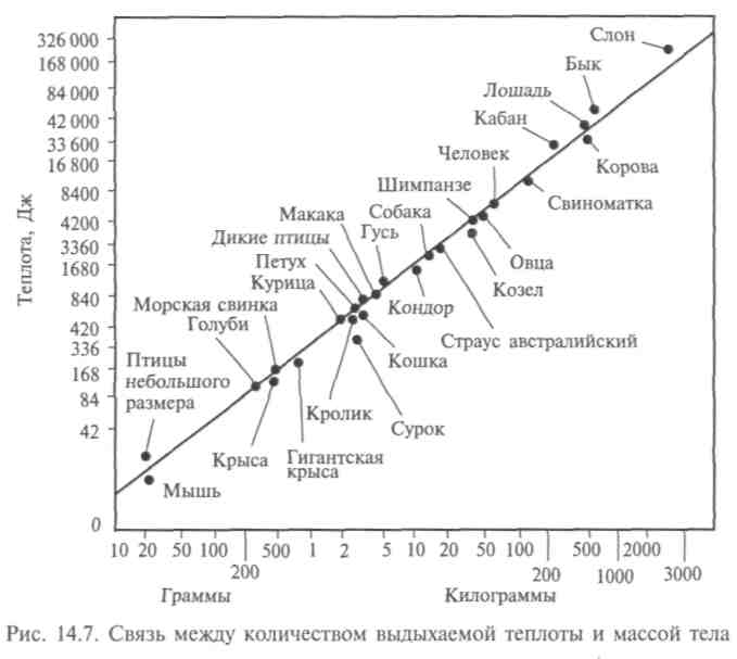 Связи между организмами в экосистеме - student2.ru