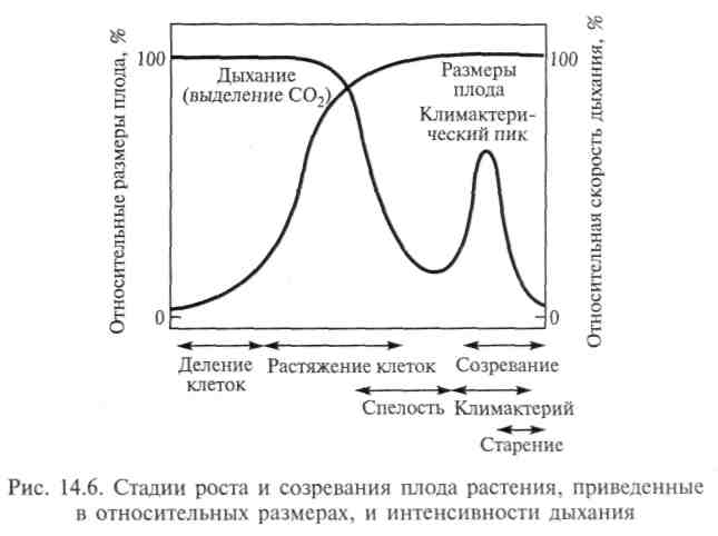 Связи между организмами в экосистеме - student2.ru