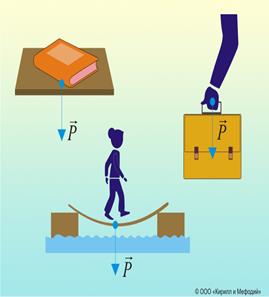 Вес тела-сила, с которой тело вследствие притяжения к Земле действует на опору или подвес - student2.ru