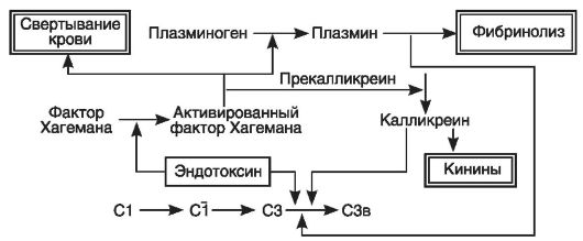 Активация протеолитических систем плазмы крови - student2.ru