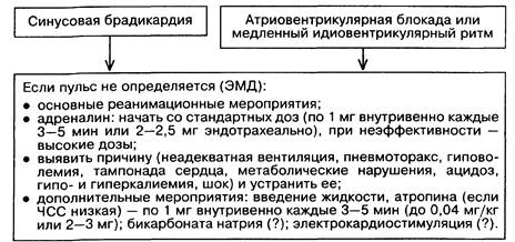 Алгоритм при фибрилляции желудочков (по К. Гроер, Д. Кавалларо) - student2.ru