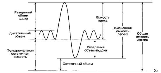 Б. Положение лежа на спине - student2.ru