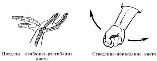 Богатство подвижности органов движения человека - student2.ru