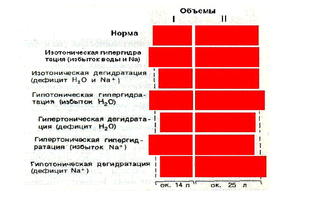 Болизма объёма жидкости в организме, количества цир- - student2.ru