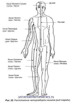 Д. Внешняя сторона локтя/ Большой палец - student2.ru