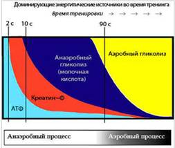 Дайте определение мышцам антагонистам и синергистам - student2.ru