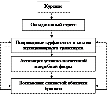 дополнительная информация - student2.ru