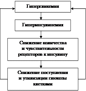 дополнительная информация - student2.ru