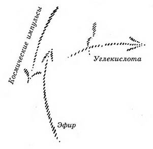 дорнах, 9 ноября 1923 года - student2.ru