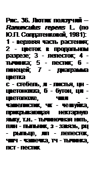 Как работать с определителем? - student2.ru