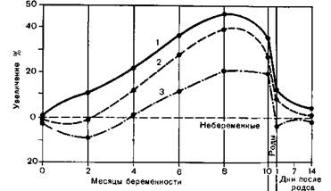 Физиологические изменения в течение беременности - student2.ru