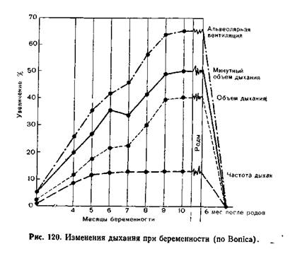 Физиологические изменения в течение беременности - student2.ru