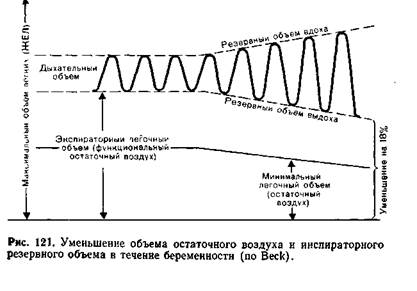 Физиологические изменения в течение беременности - student2.ru